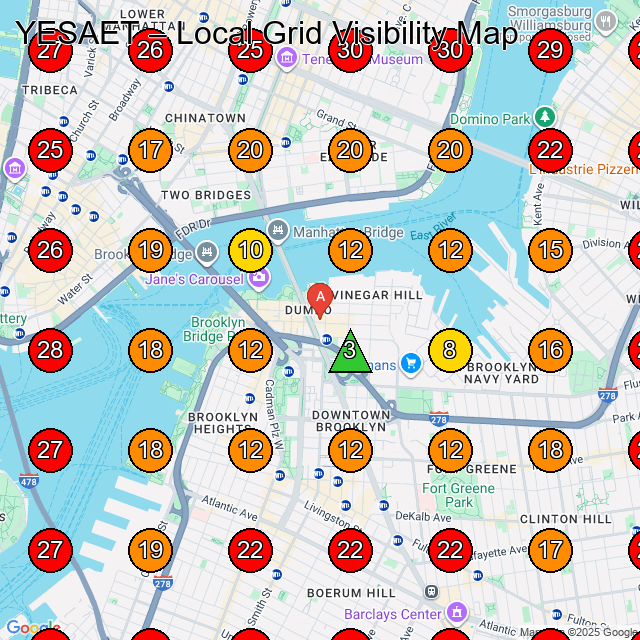 YESAET GeoGrid visibility map for Clothing Store in Brooklyn